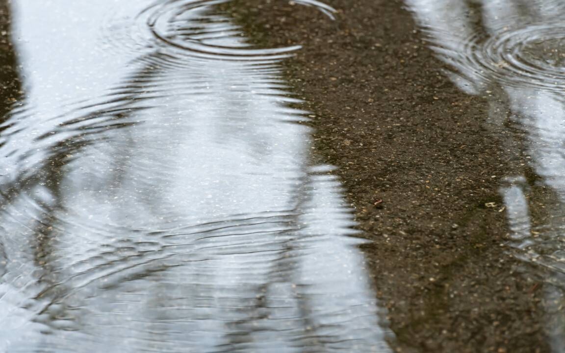 Талые воды размывают дороги в ЗКО