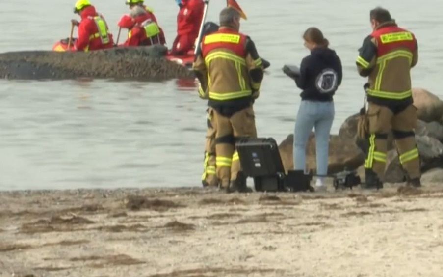 В Германии горбатый кит застрял на мелководье в Любекской бухте