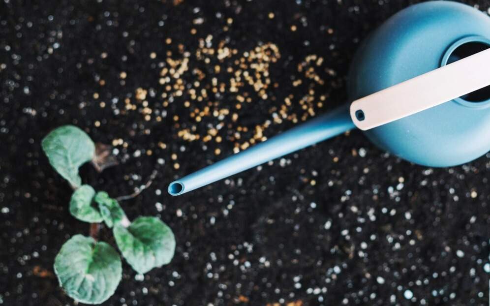 Как Казахстан теряет плодородие почв, тратя миллиарды на субсидии