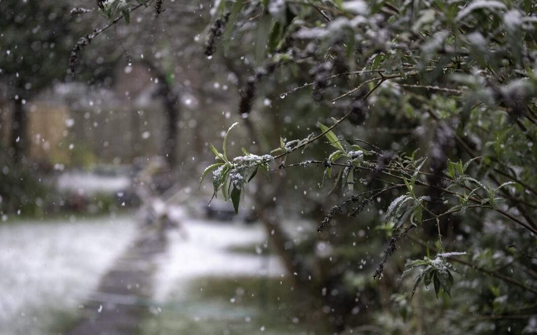 Туман, дожди и грозы: в 16 регионах Казахстана объявили штормовое предупреждение