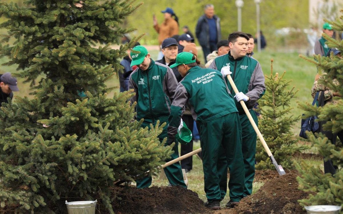 Актюбинская область высадила около 10 тысяч деревьев