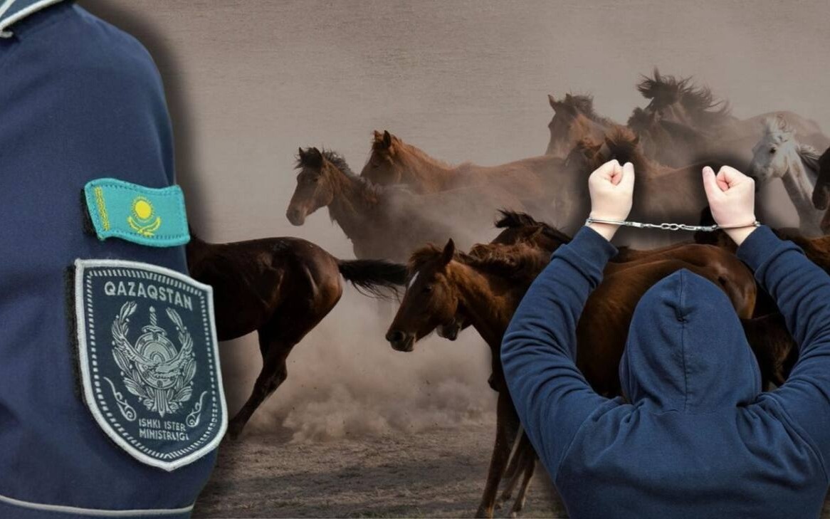 МВД Казахстана пресекло вывоз 1000 голов скота