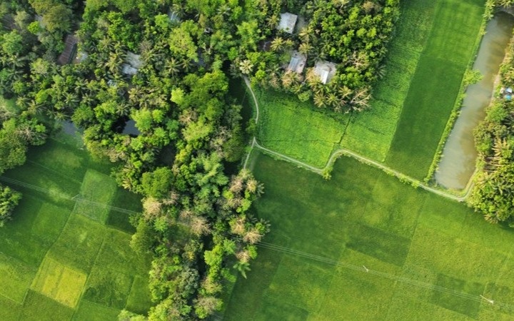 В Алматинской области 1,38 млн ждут землю под ИЖС