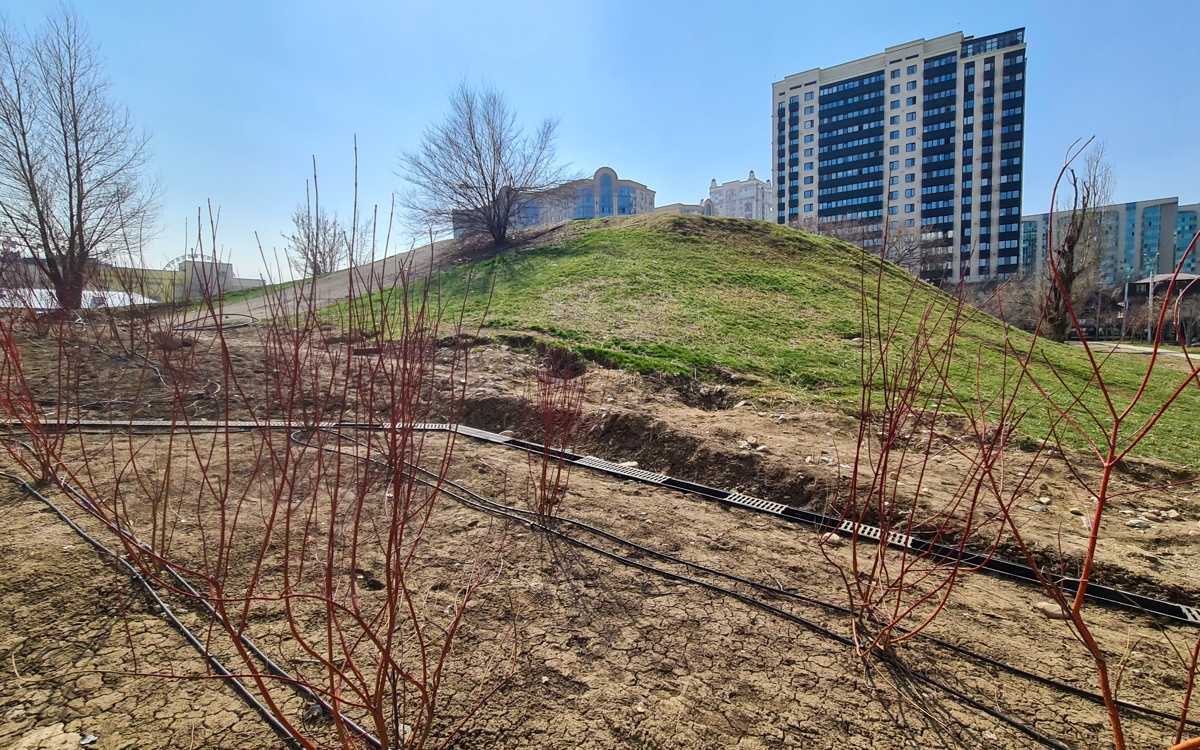 Сакский курган в Алматы и музей под открытым небом: что известно о проекте