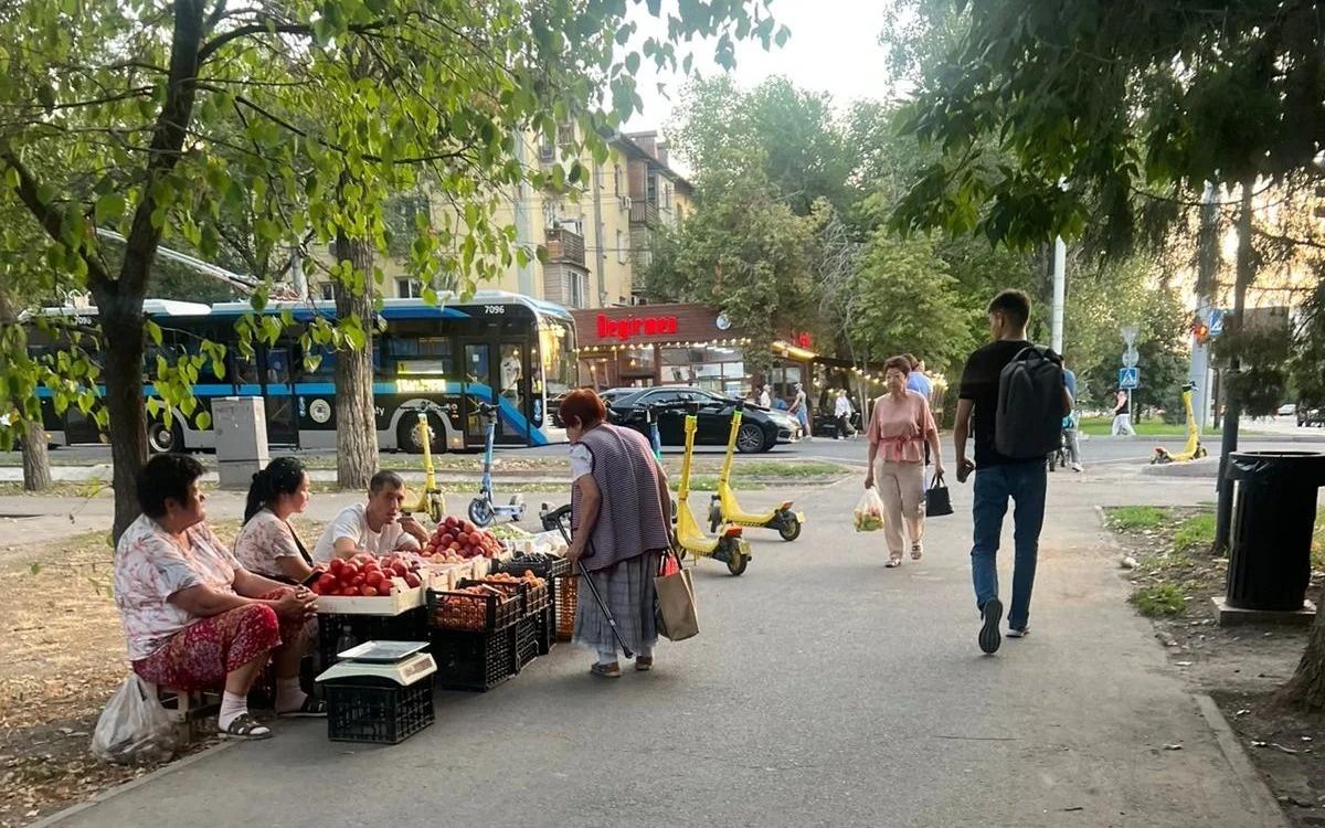 Контроль за стихийной торговлей в Алматы усилят