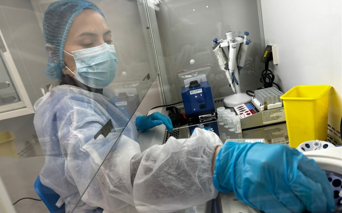 ПЦР против аллергенов: как проверяют безопасность продуктов в Казахстане