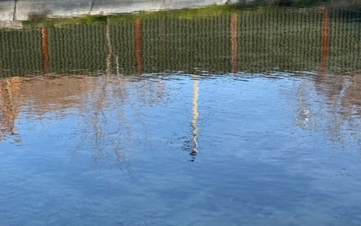 Еще один ребенок утонул в реке в Туркестанской области