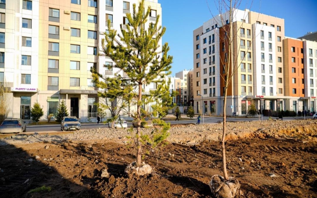 В Астане высадят около миллиона деревьев и кустарников