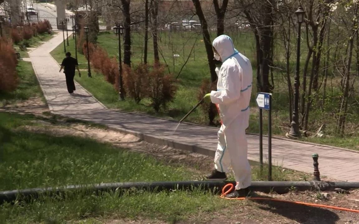 От клещей, мошек и комаров избавляют Шымкент и Туркестанскую область