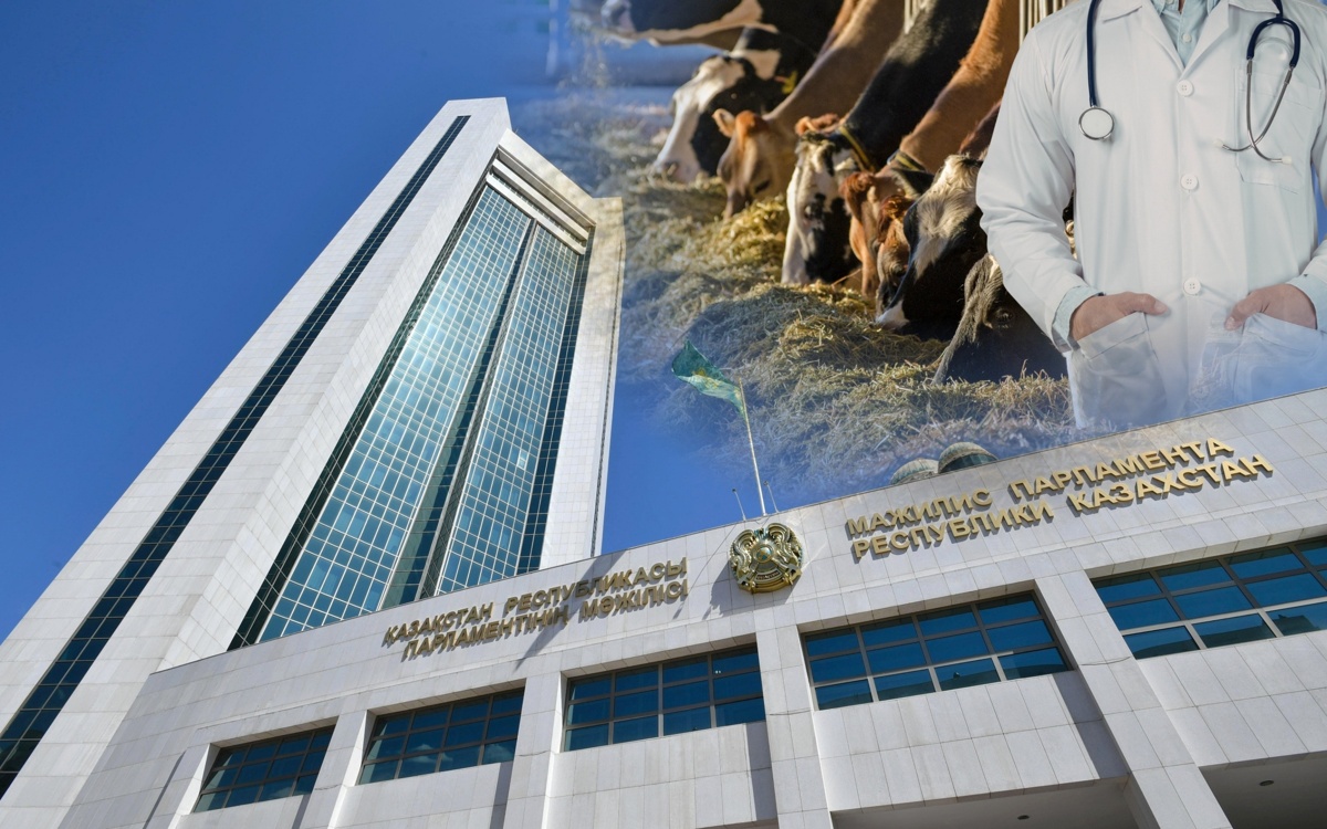 Новые правила для психологов и владельцев животных обсудят в Мажилисе