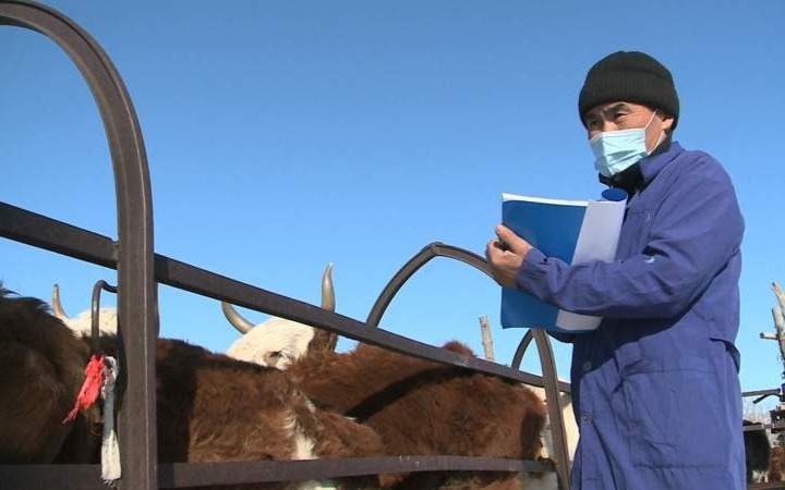 В Казахстане намерены создать ветеринарный статуарный орган