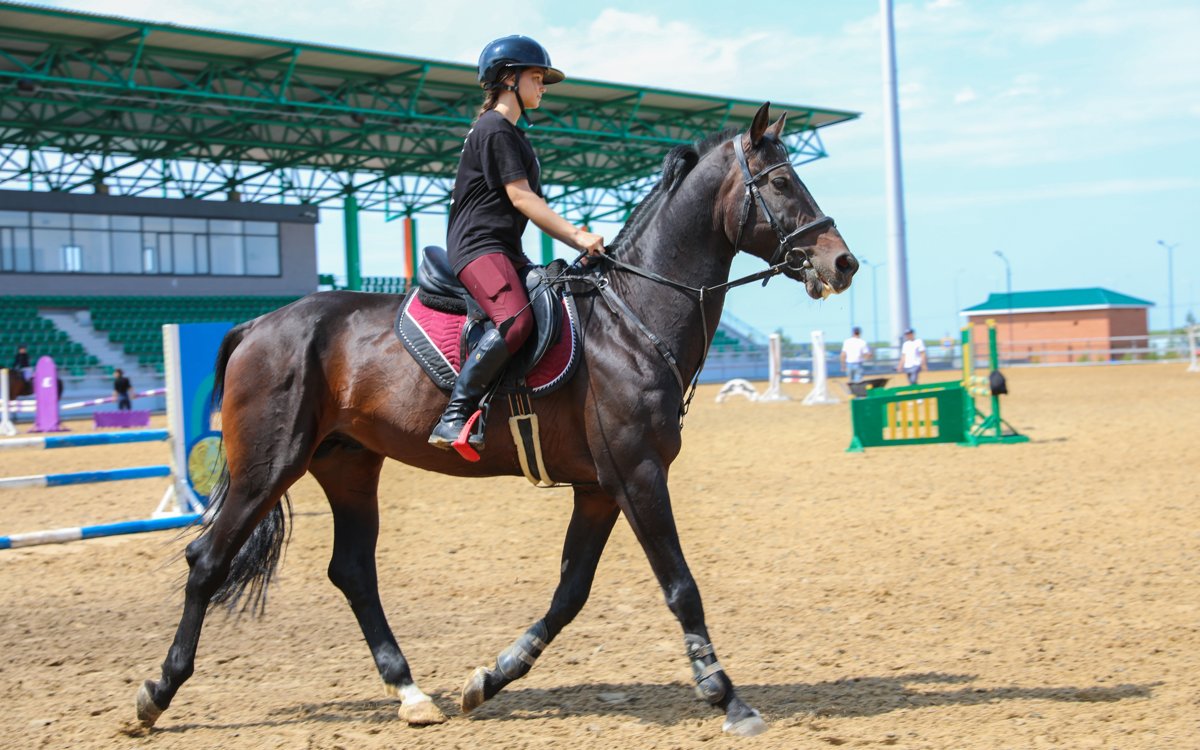 Могут ли ипподром в Алматы передать на баланс города