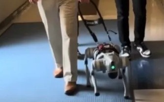 Ученые создали говорящего робота-поводыря для незрячих