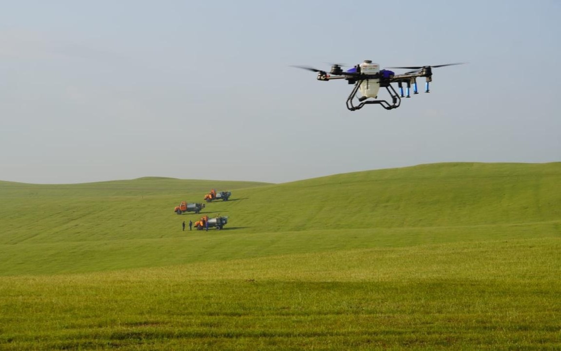 Площадь химобработок против саранчи в 2026 году в РК составит 2,2 млн га