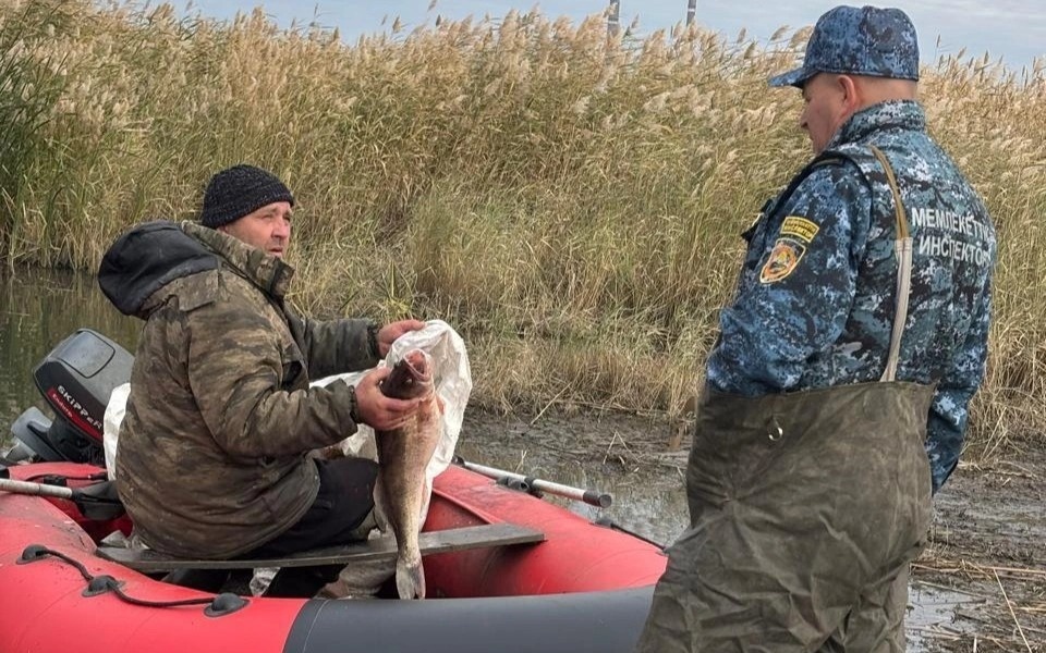 Временный запрет на рыбную ловлю: что изменится в этом году