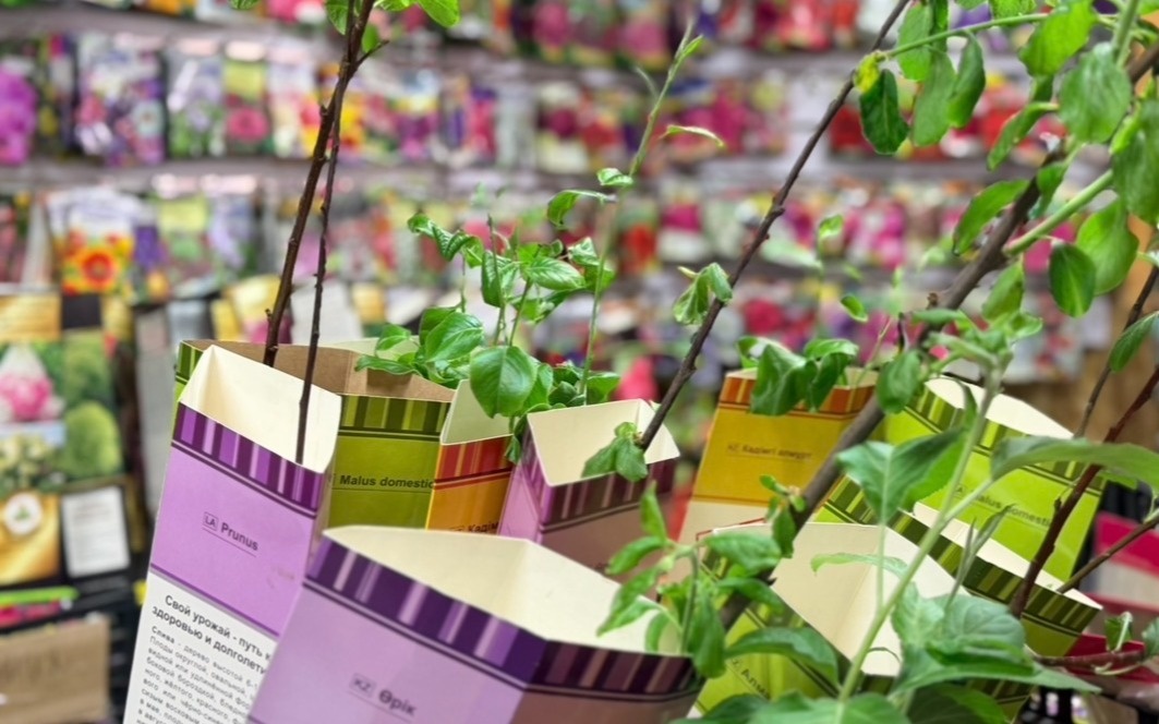 Сколько стоит огород в 2026 году в Костанайской области и есть ли в этом выгода