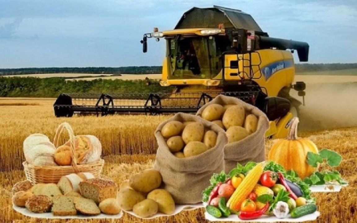 Масло, сыр и сладости: производство продуктов выросло на 11,9% в РК