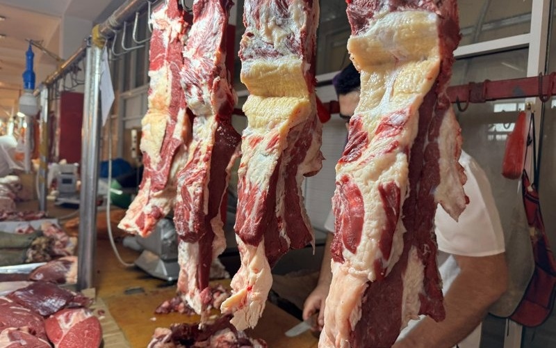 Более 421 тысячи тонн мяса: как развивается животноводство в Казахстане