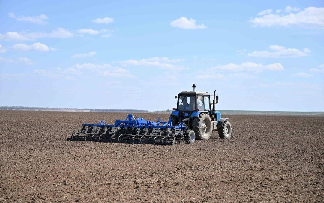 Точные сроки начала посевной определили в Костанайской области
