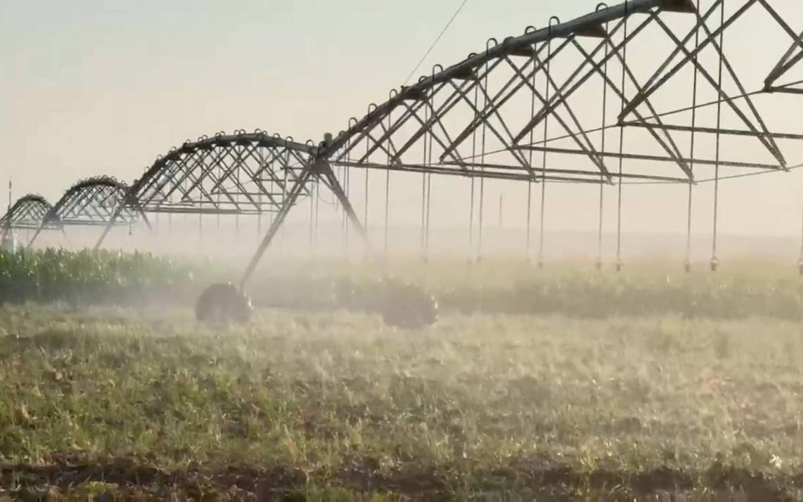 Капельное орошение внедрено на 165,8 тысячи га в РК: урожайность выросла вдвое