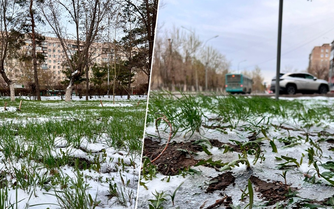 Караганду накрыл апрельский снег