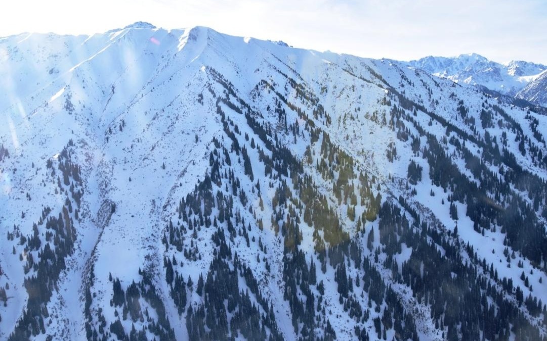 Спасатели предупредили о возможных камнепадах и оползнях в горах Алматы