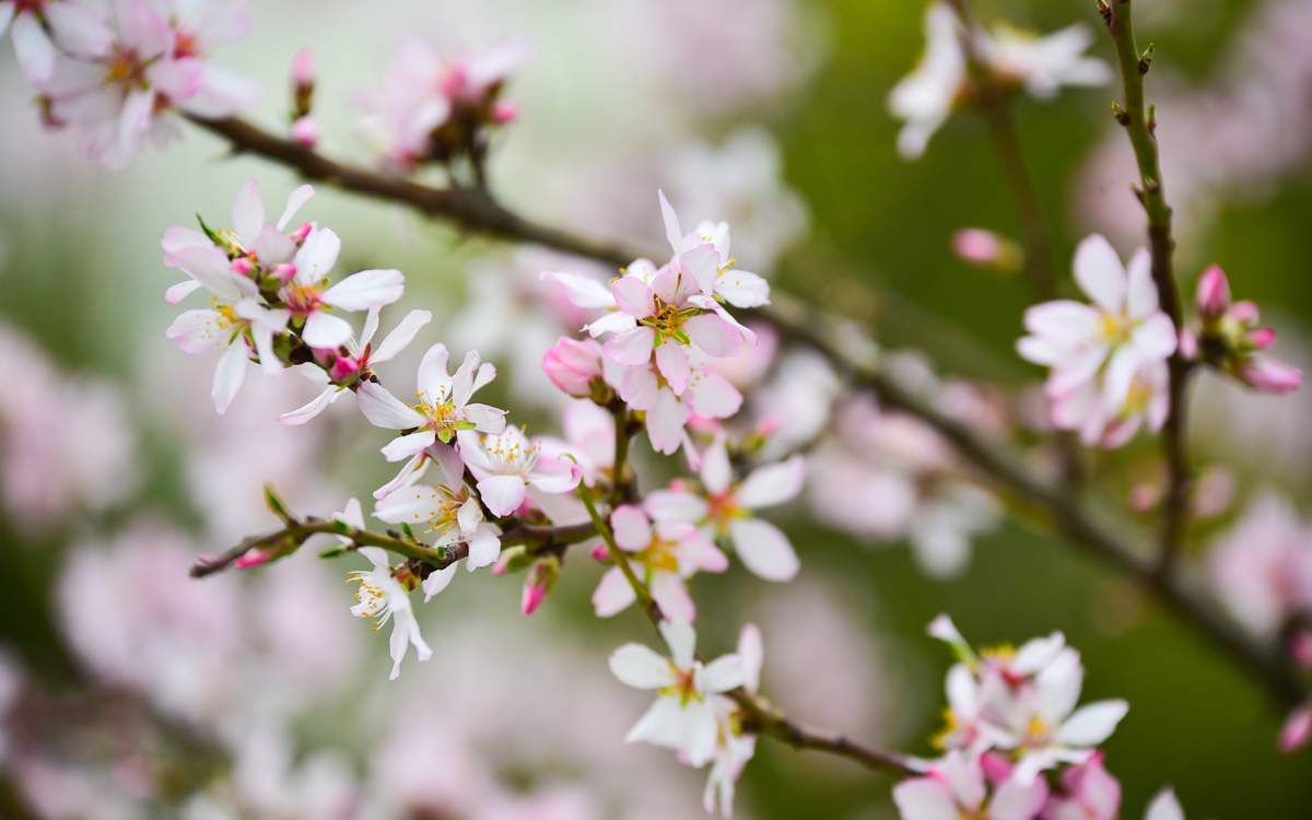 Потепление придет в Казахстан в выходные