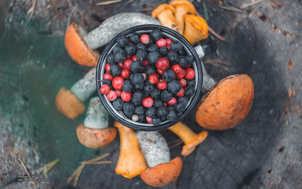 Где в Казахстане снизились цены на лесную продукцию