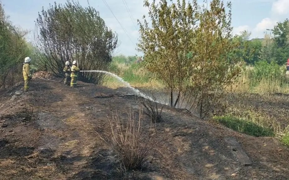 Лесной пожар потушен в Северо-Казахстанской области