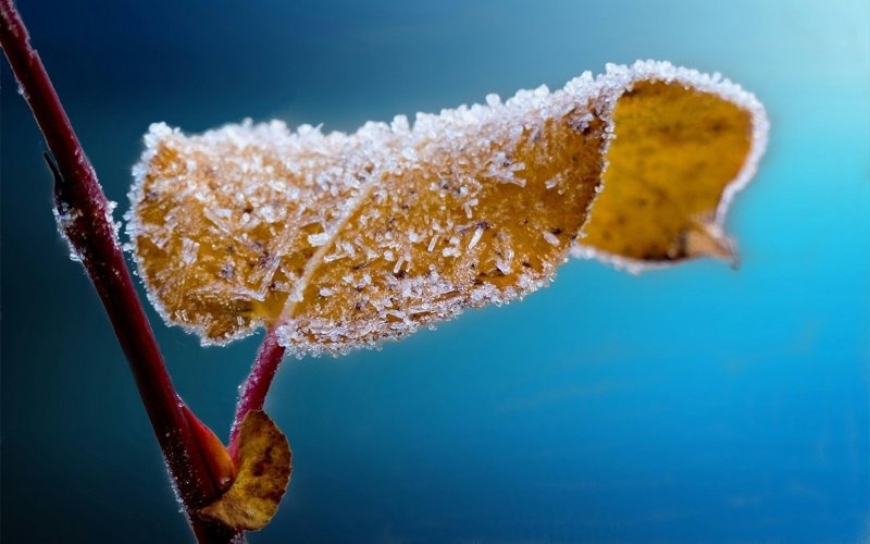 Заморозки и штормовое предупреждение объявлены 19 апреля в областях Казахстана