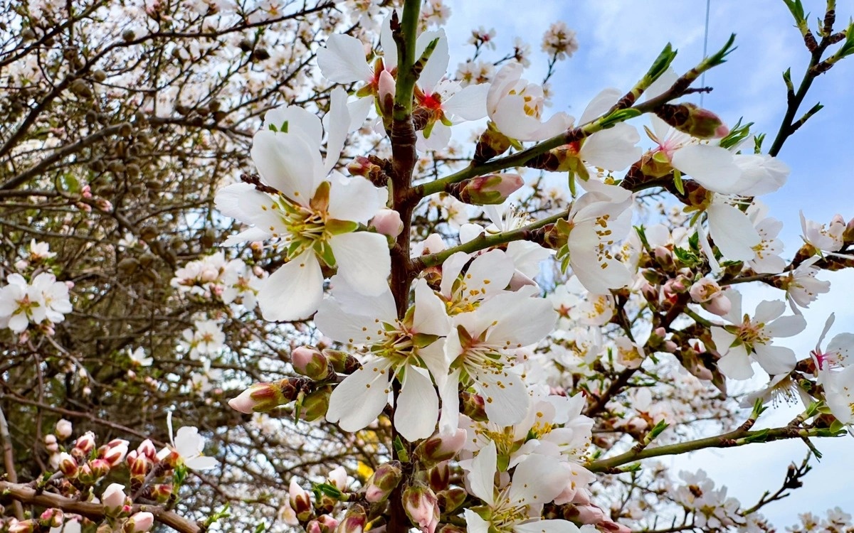 Какой будет погода в мае в Костанайской области