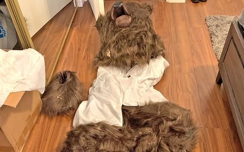 Видео с «медведем» у люксовых авто помогло раскрыть страховую аферу в США