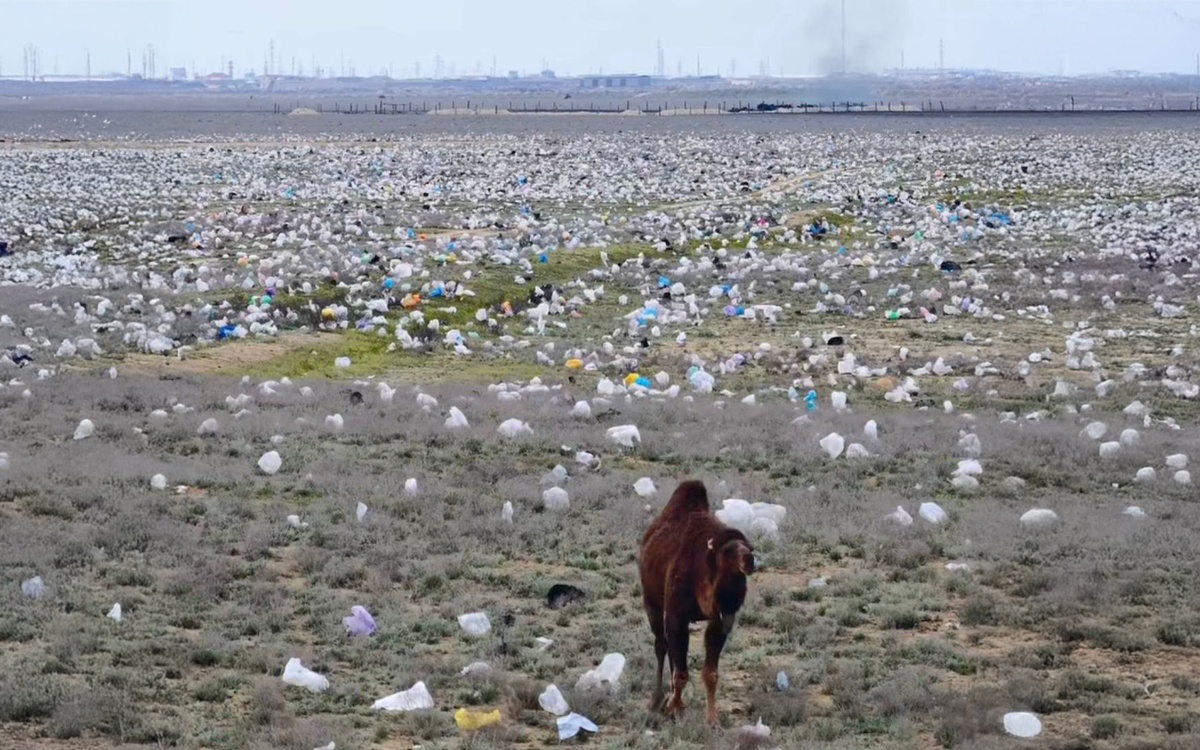 Почему степь в Мангистау оказалась завалена мусором