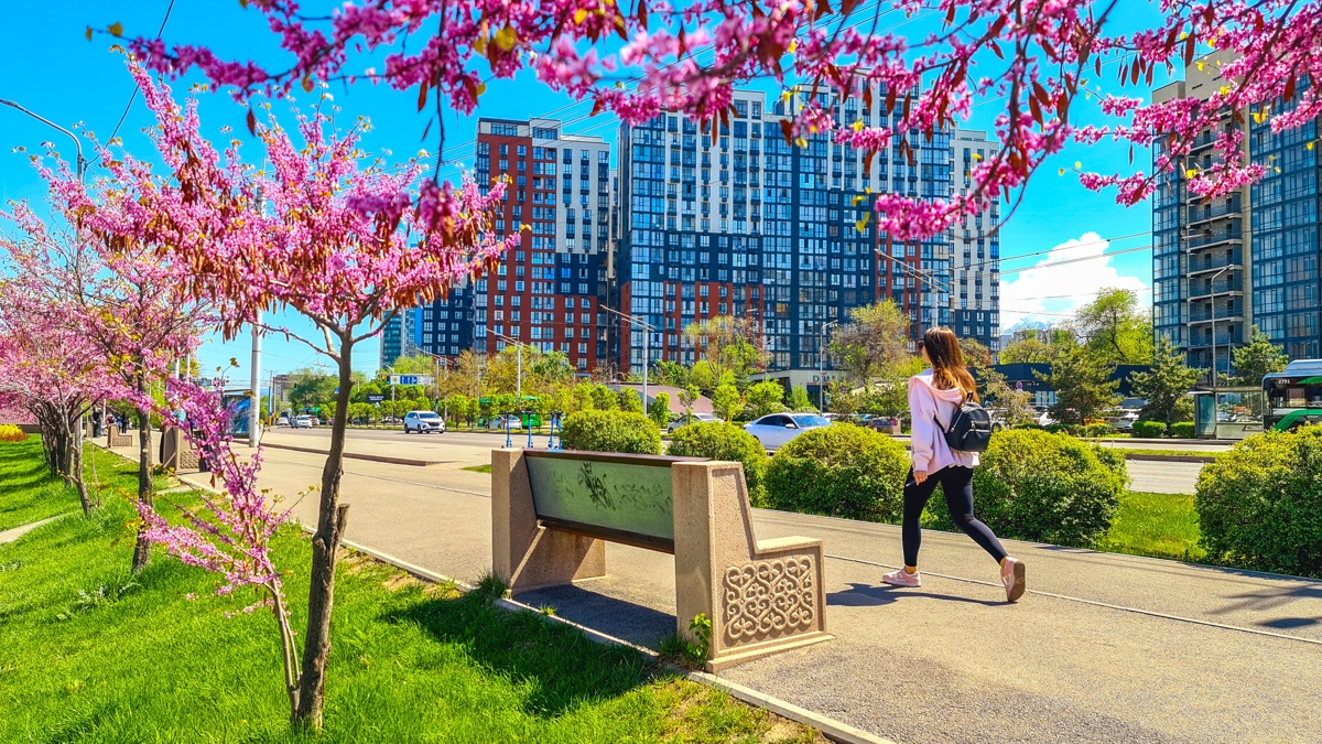 Алматы расширит озеленение и увеличит площадь цветников