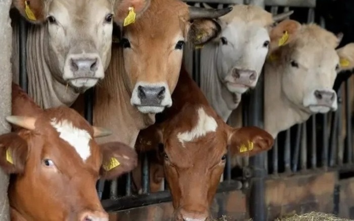 Казахстан рассмотрит снятие ограничений на ввоз из РФ