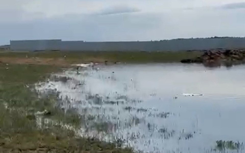 Акимат проверяет жалобы на стоки у села Дарьинское