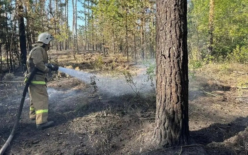 В ВКО усилили охрану лесов в пожароопасный сезон