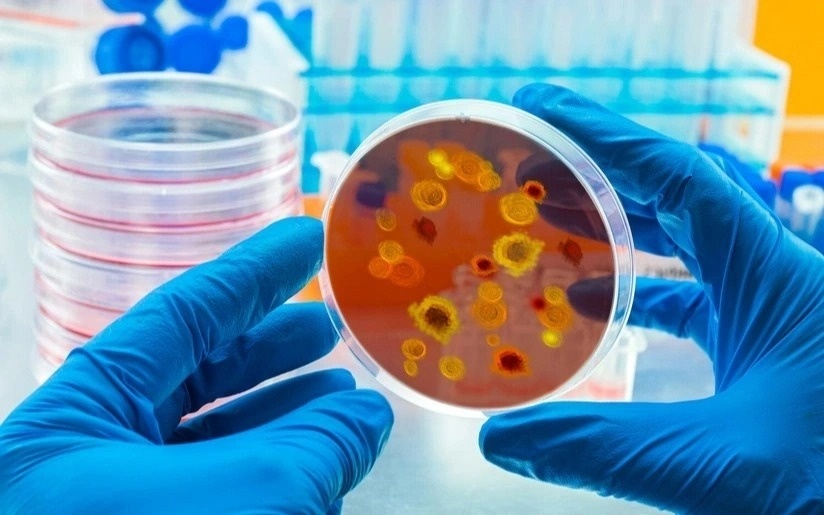 В ЗКО число кишечных инфекций выросло на 19,6%