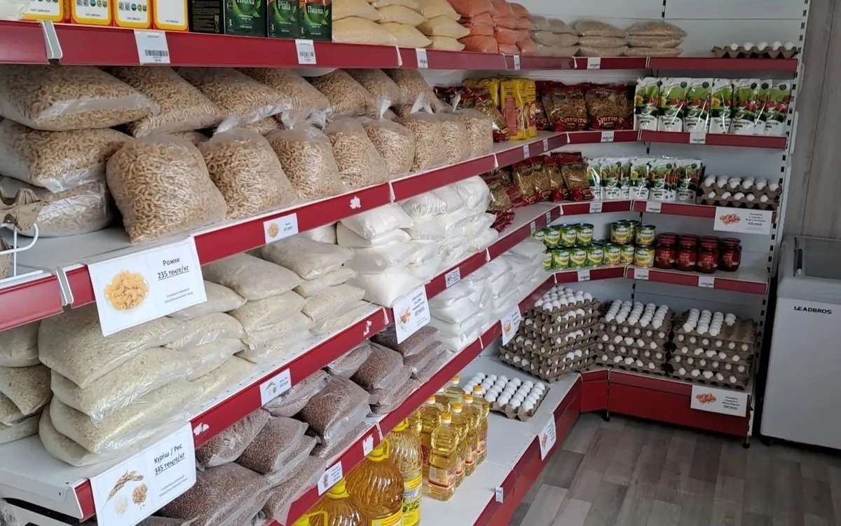 В Казахстане назначили 1406 штрафов за цены на СЗПТ