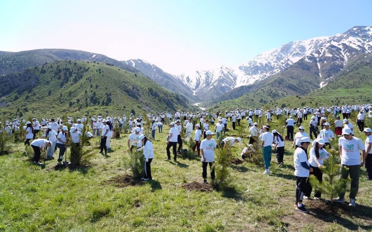 В Туркестанской области за день посадили 20 тысяч деревьев