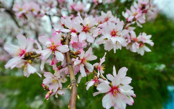 Казахстанцы отдохнут 14 дней в мае 2026 года