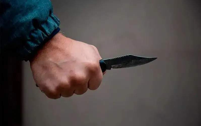 Полиция задержала подозреваемого в нападении на школьника