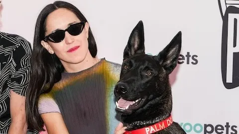 Собака Юри получила награду Palm Dog в Каннах