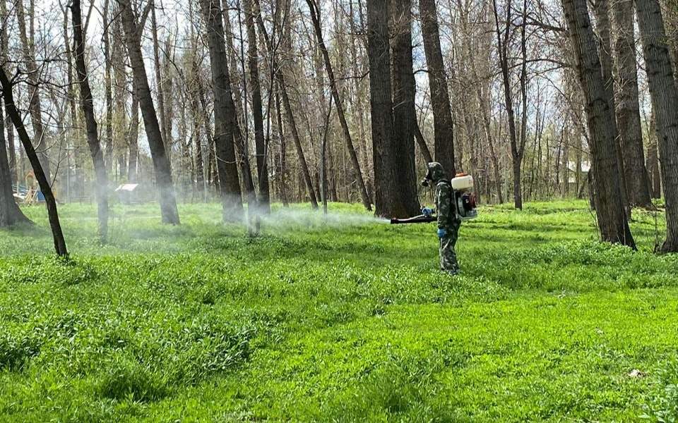 Караганда начала ночную обработку парков от клещей