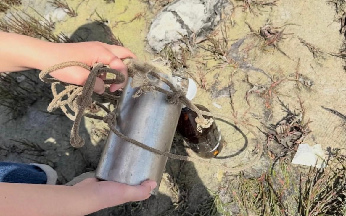 Экологи взяли пробы воды после гибели тюленей в Актау