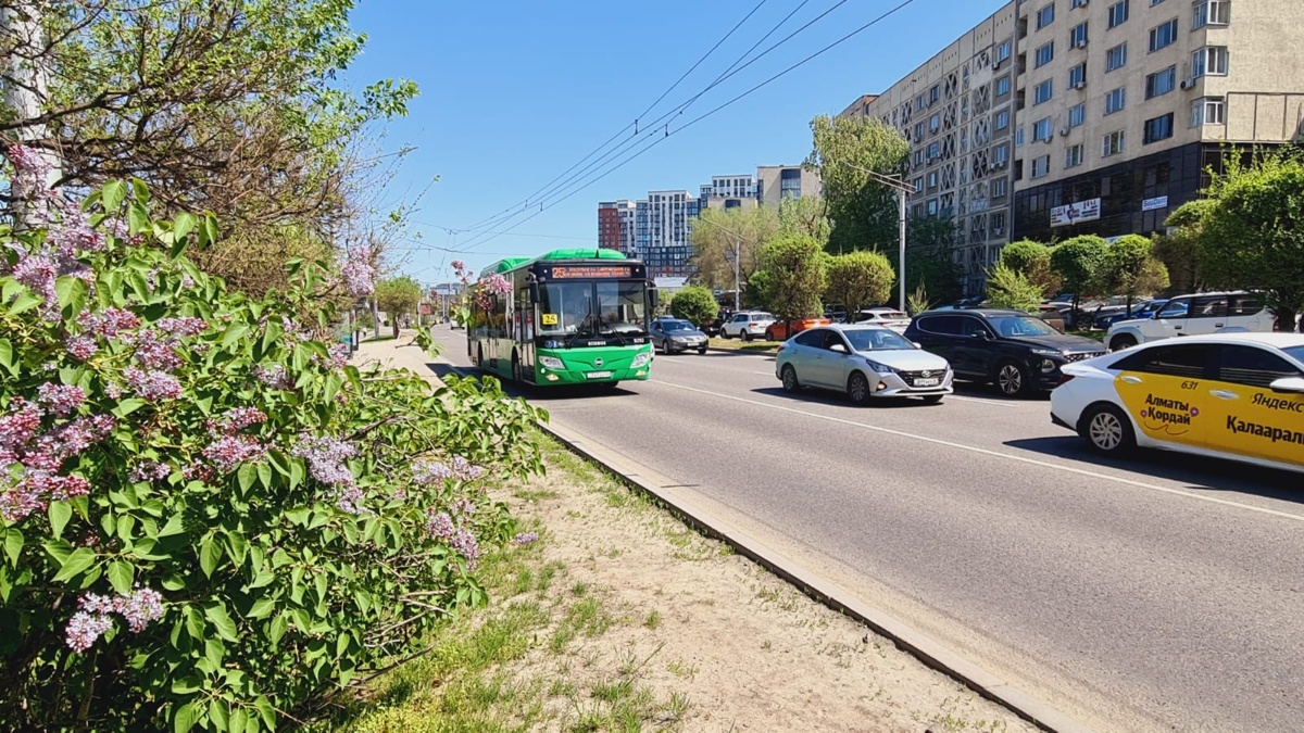 Несколько автобусных маршрутов в Алматы и пригороде изменят схему движения