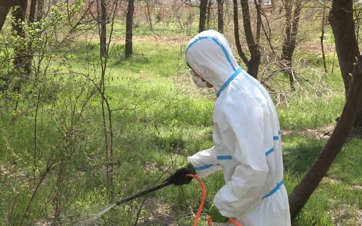 В Алматы выросло число обращений после укусов клещей
