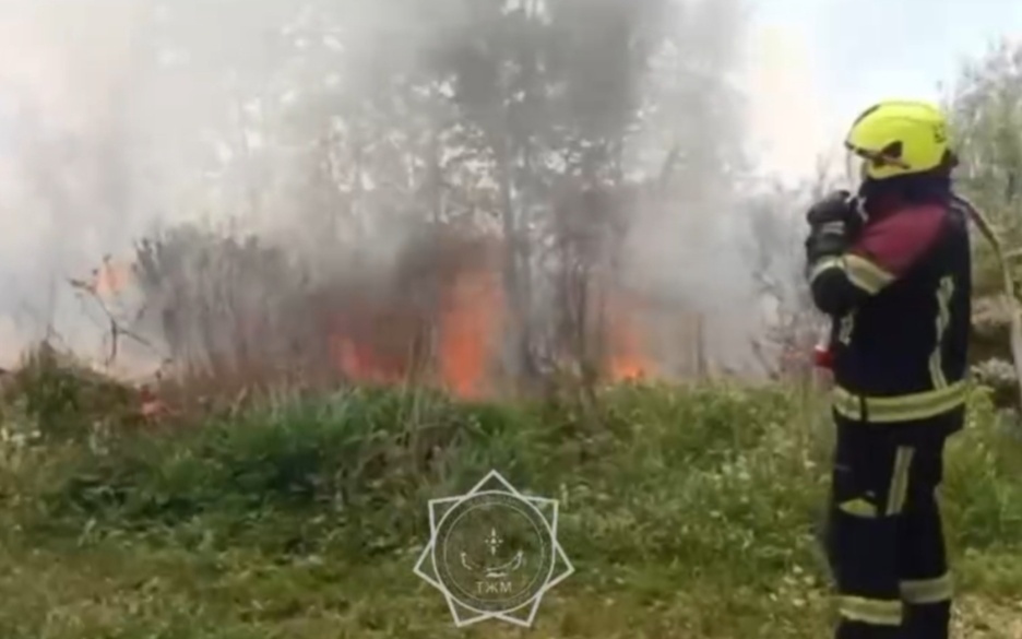 МЧС ликвидировало возгорание сухой травы в Астане