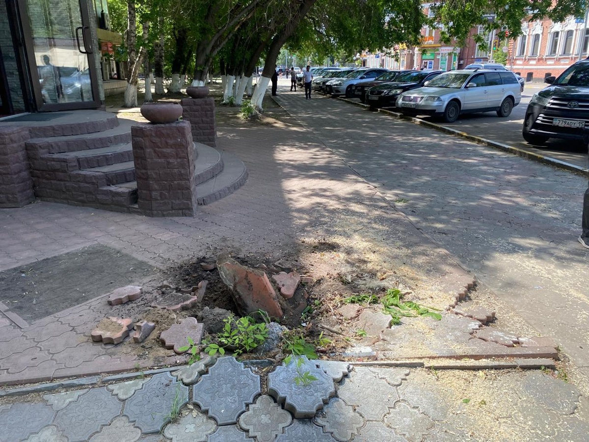 В Петропавловске объяснили причины падения деревьев