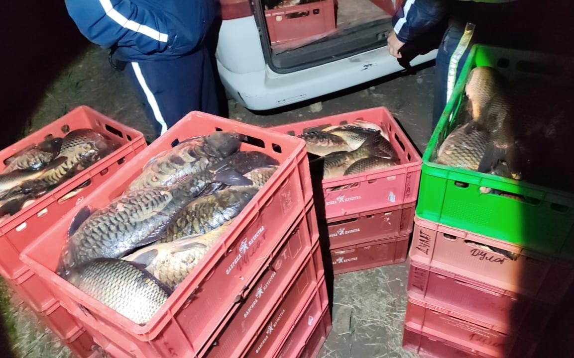 Полиция изъяла 635 кг рыбы в Акмолинской области